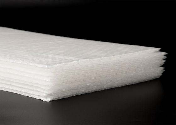 Pantone PLA PBAT Biodegradable Bubble Wrap For Cushion Packaging